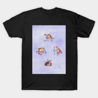 Hedgehog Ballet T-Shirt